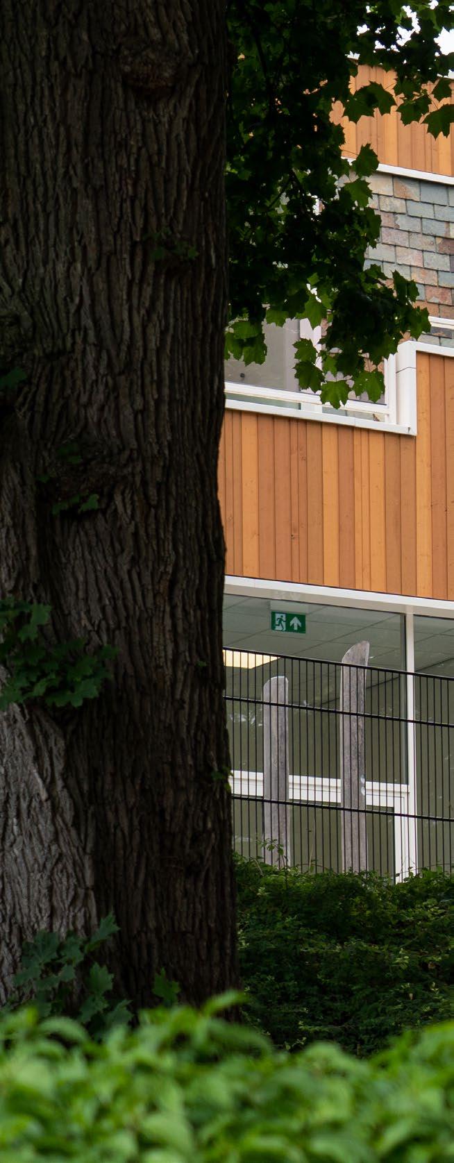 Afbeelding van het schoolgebouw van Synergieschool St Alfonsus voor basisonderwijs in Roermond, met een boom op de voorgrond. Afbeelding van het schoolgebouw van Synergieschool St Alfonsus voor basisonderwijs in Roermond, met een boom op de voorgrond.