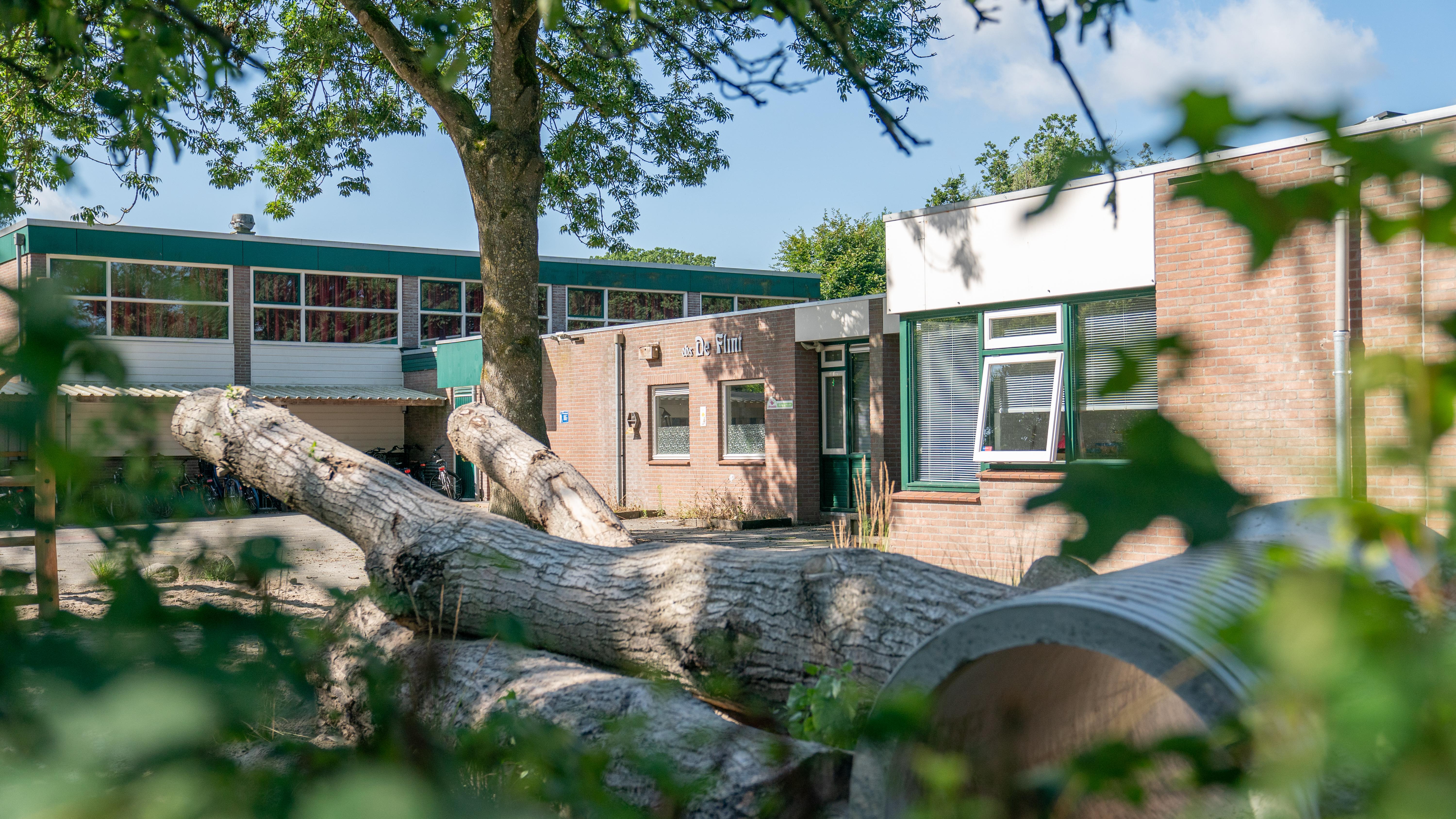 Basisschool De Flint in Ekehaar met een omgevallen boom op het schoolplein. Basisschool De Flint in Ekehaar met een omgevallen boom op het schoolplein.