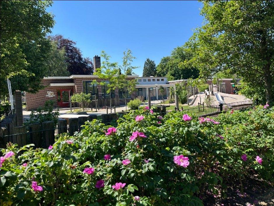Basisschool De Zonnewijzer in Westerbeek met een groen schoolplein en bloeiende bloemen. Basisschool De Zonnewijzer in Westerbeek met een groen schoolplein en bloeiende bloemen.