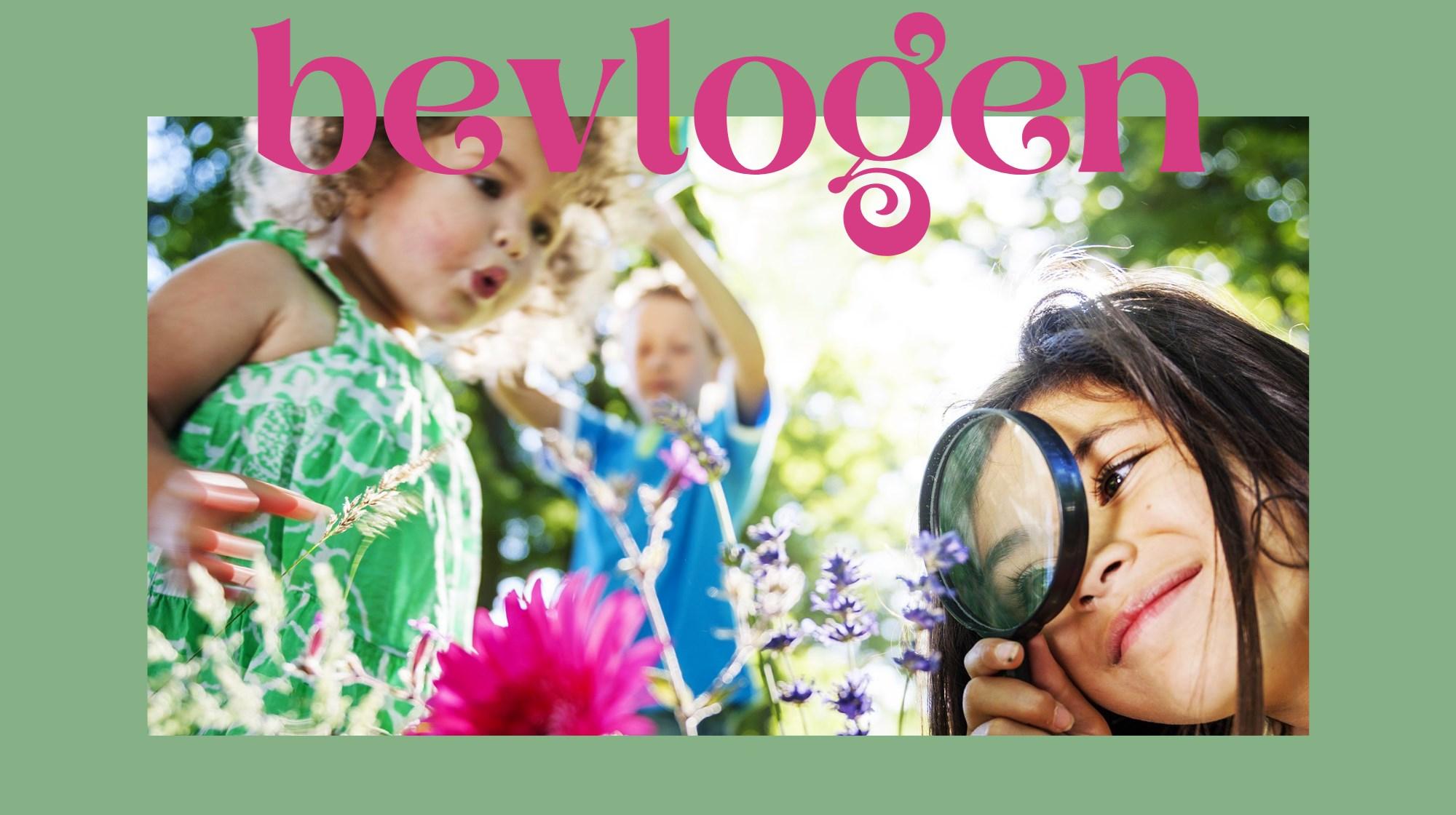Bevlogen kinderen van Het Rondeel in Beek (Gem. Montferland) verkennen de natuur op het schoolplein. Bevlogen kinderen van Het Rondeel in Beek (Gem. Montferland) verkennen de natuur op het schoolplein.
