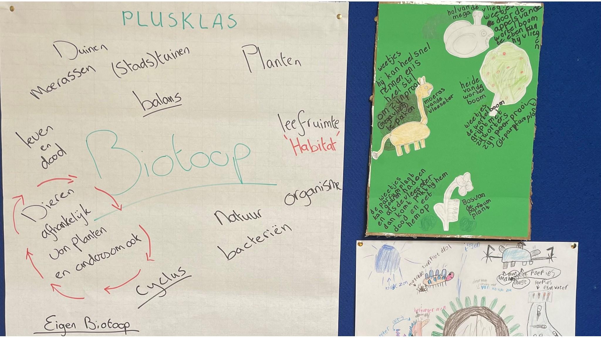 Biologieplannen van Openbare Basisschool 't Zwanenest in Schagerbrug met tekeningen en notities over ecosystemen en leefruimtes. Biologieplannen van Openbare Basisschool 't Zwanenest in Schagerbrug met tekeningen en notities over ecosystemen en leefruimtes.