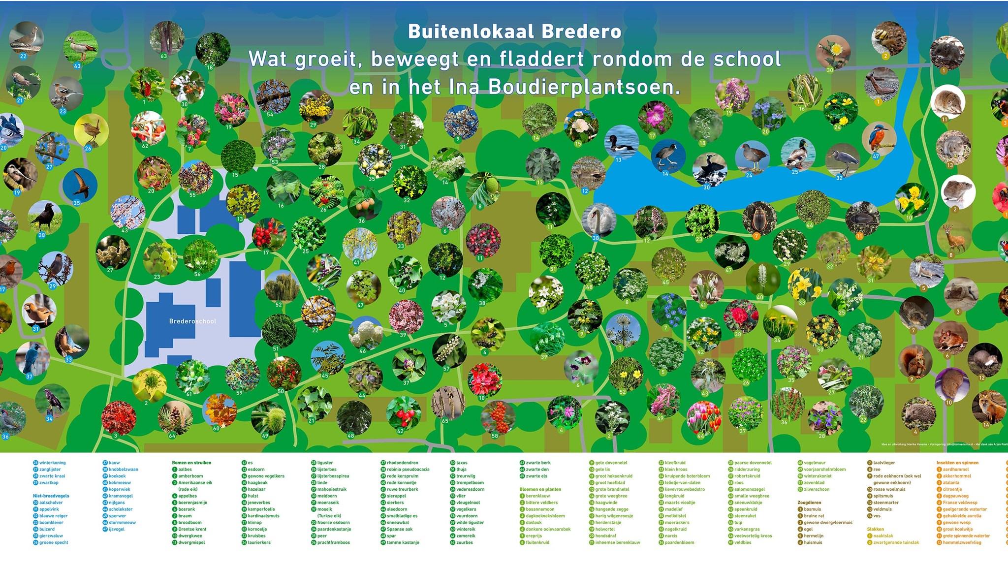 Buitenlokaal Bredero toont de flora en fauna rond de Bredero-School in Groningen. Buitenlokaal Bredero toont de flora en fauna rond de Bredero-School in Groningen.
