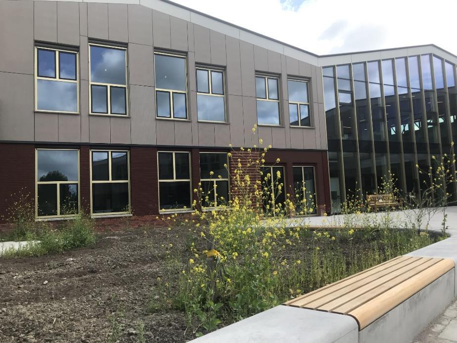 Buitenzicht op Protestants Christelijke Basisschool De Piramiden in Winsum (Groningen) met een moderne gevel en bloeiende planten. Buitenzicht op Protestants Christelijke Basisschool De Piramiden in Winsum (Groningen) met een moderne gevel en bloeiende planten.