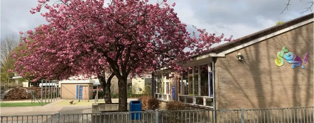 Basisschool Step