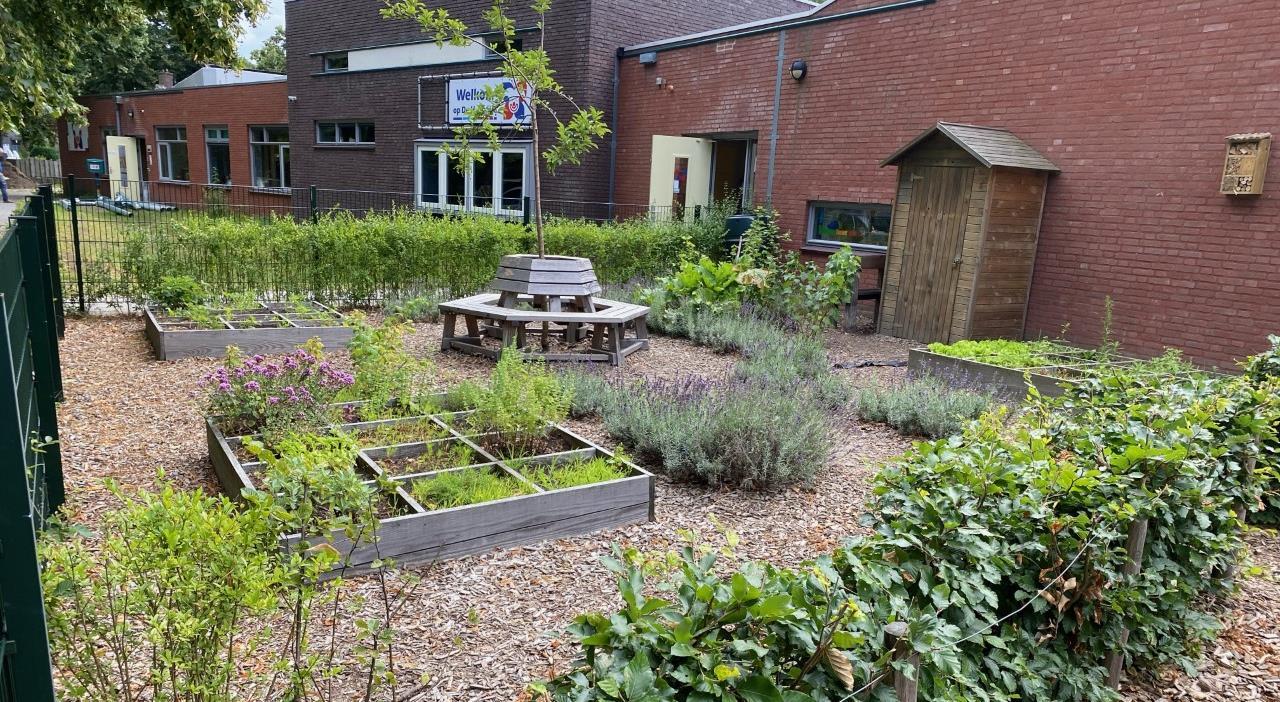 De schooltuin van Basisschool De Harlekijn in Son en Breugel met plantenbedden en een zitgelegenheid. De schooltuin van Basisschool De Harlekijn in Son en Breugel met plantenbedden en een zitgelegenheid.