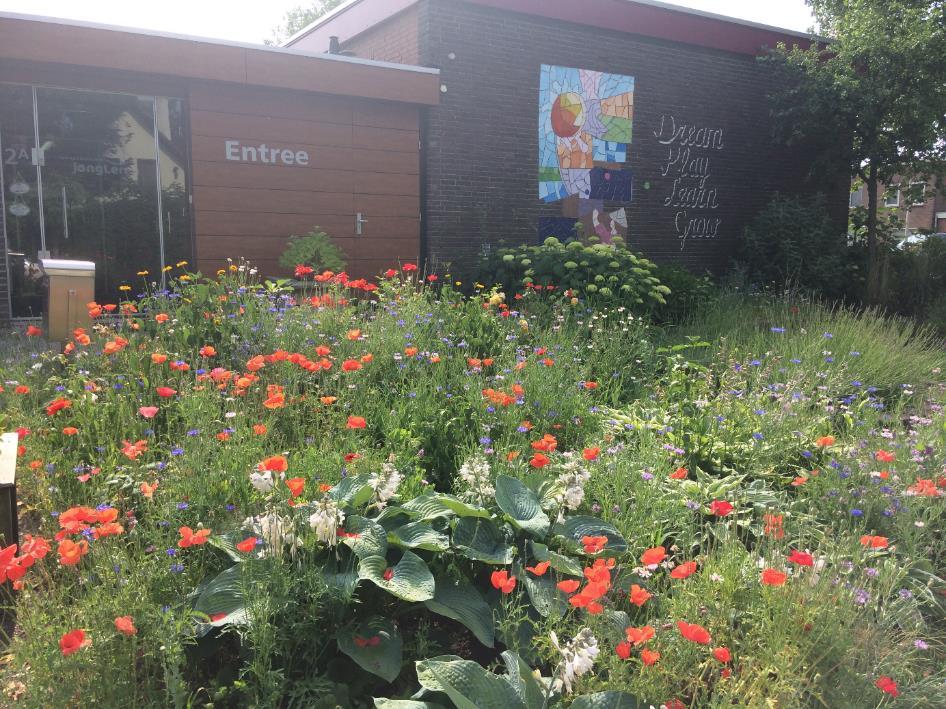 Deze afbeelding toont de kleurrijke bloemenbedden bij de entree van OBS De Groene Bogen in Drunen. Deze afbeelding toont de kleurrijke bloemenbedden bij de entree van OBS De Groene Bogen in Drunen.