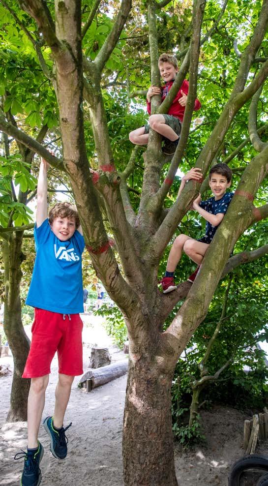 Drie kinderen spelen in een boom op het schoolplein van de Lorentzschool in Leiden. Drie kinderen spelen in een boom op het schoolplein van de Lorentzschool in Leiden.