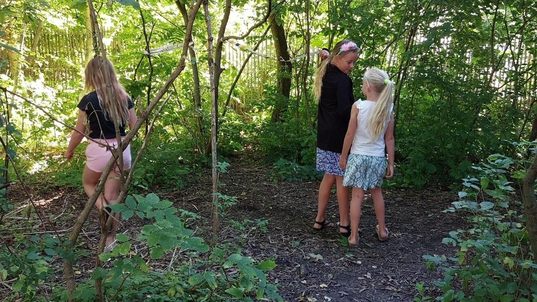 Drie kinderen verkennen de natuur rondom Basisschool Op Avontuur in Kolhorn. Drie kinderen verkennen de natuur rondom Basisschool Op Avontuur in Kolhorn.