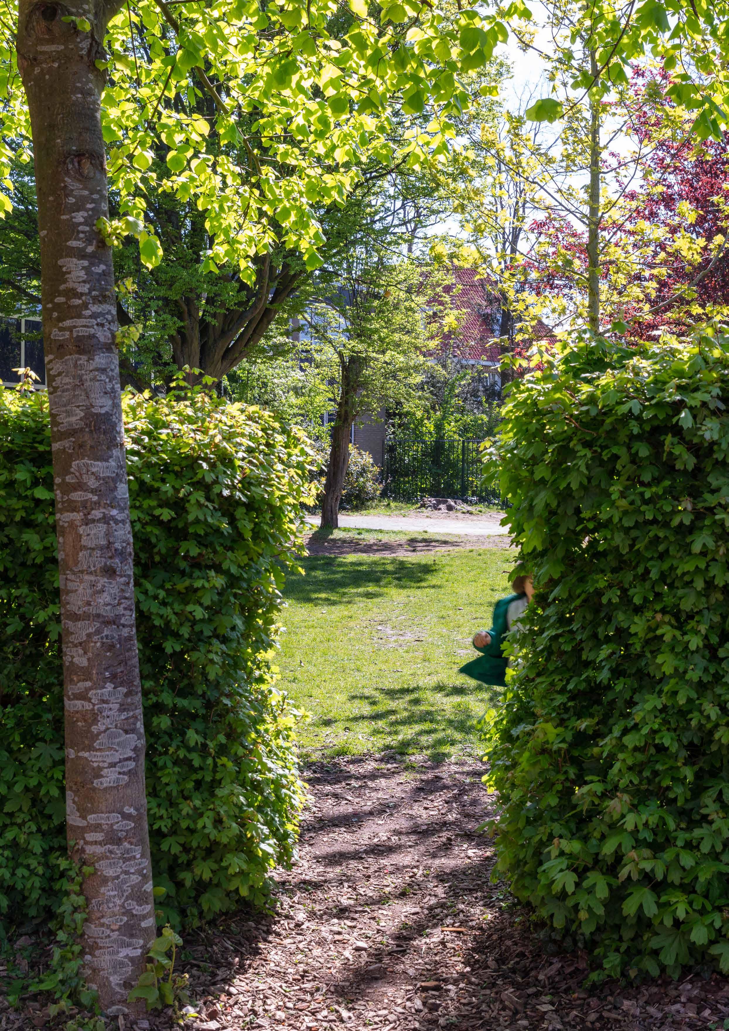 Een groen en zonnig schoolplein van Openbare Basisschool Bornwaterschool in Bloemendaal met een pad tussen de struiken. Een groen en zonnig schoolplein van Openbare Basisschool Bornwaterschool in Bloemendaal met een pad tussen de struiken.