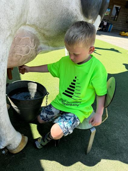 Een jongen in een felgroen T-shirt van obs De Dennenkamp in Ommen, die op het schoolplein een plastic koe melkt. Een jongen in een felgroen T-shirt van obs De Dennenkamp in Ommen, die op het schoolplein een plastic koe melkt.