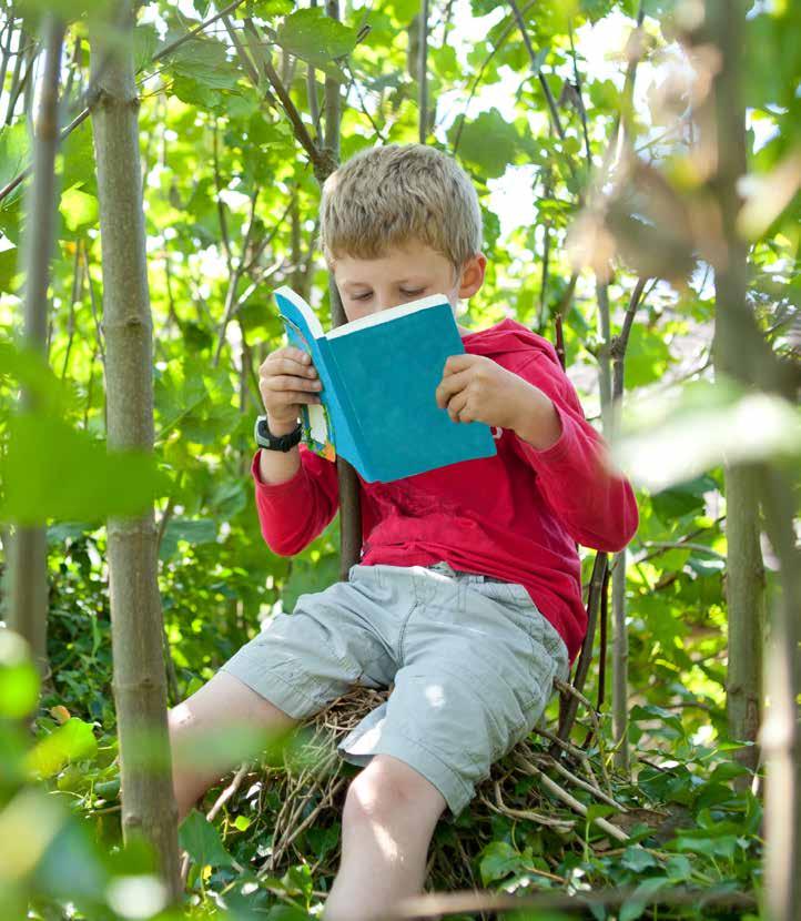 Een jongen leest een boek terwijl hij op een tak in de natuur zit, op Montessori Campus 0-18 PO in Almere. Een jongen leest een boek terwijl hij op een tak in de natuur zit, op Montessori Campus 0-18 PO in Almere.
