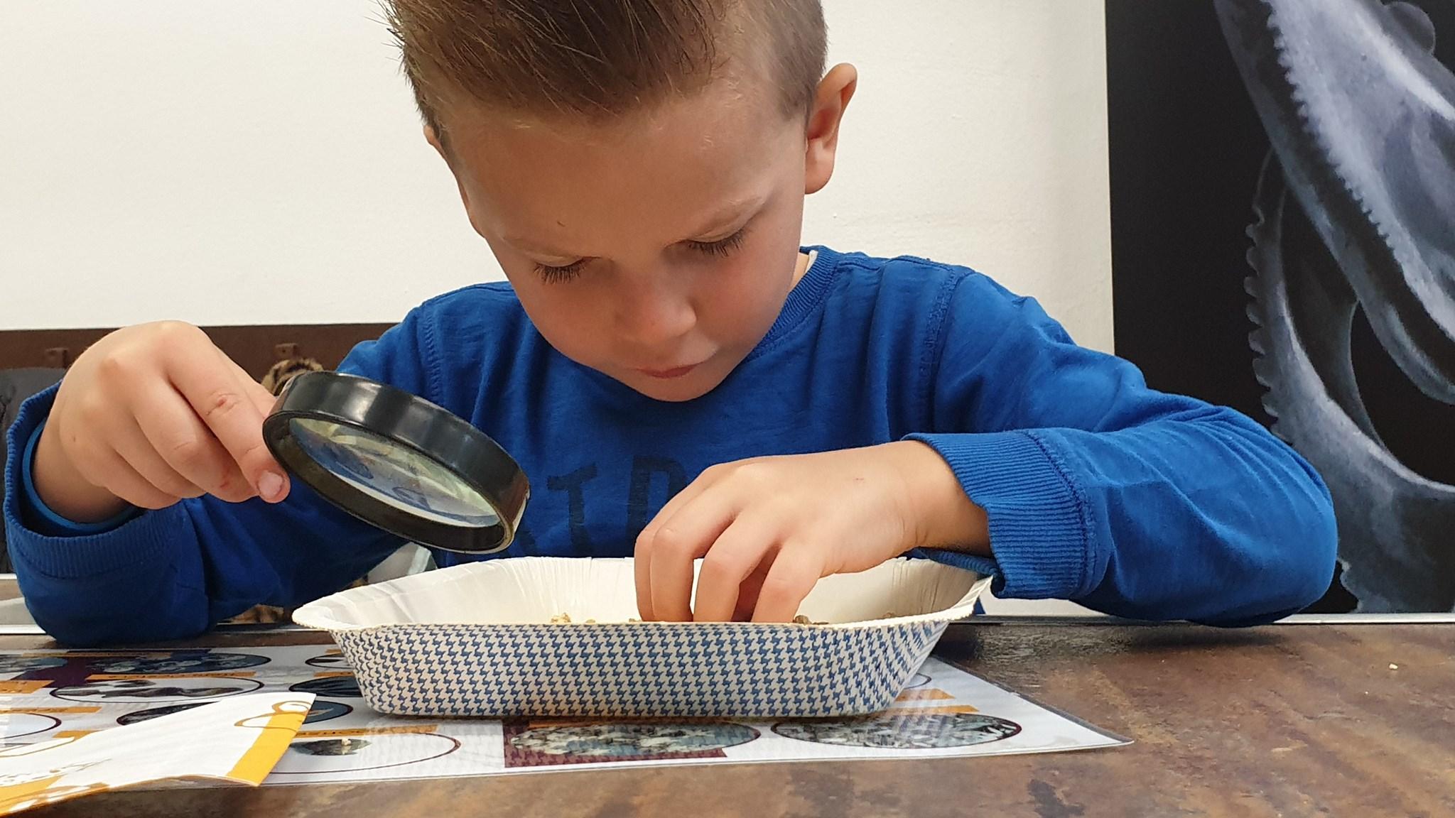 Een jongen onderzoekt met een vergrootglas een schaal met objecten tijdens een activiteit op Openbare Basisschool Mesch in Eijsden. Een jongen onderzoekt met een vergrootglas een schaal met objecten tijdens een activiteit op Openbare Basisschool Mesch in Eijsden.