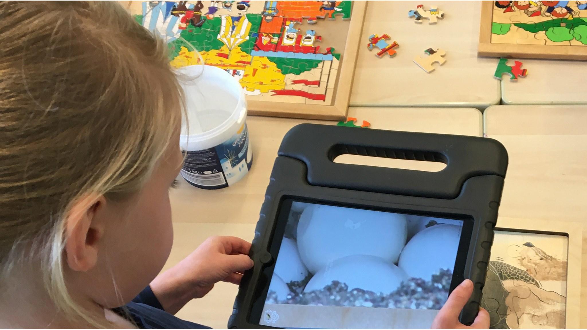 Een kind gebruikt een tablet om eieren te bekijken tijdens een activiteit op Basisschool Tuindorp in Wolvega. Een kind gebruikt een tablet om eieren te bekijken tijdens een activiteit op Basisschool Tuindorp in Wolvega.