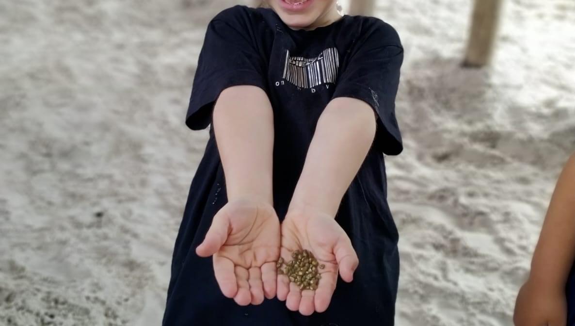 Een kind houdt blije zijn handen vol met stenen op het schoolplein van School voor Speciaal Basisonderwijs De Toermalijn in Helmond. Een kind houdt blije zijn handen vol met stenen op het schoolplein van School voor Speciaal Basisonderwijs De Toermalijn in Helmond.