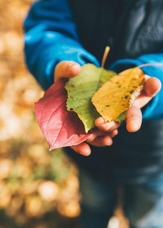 Een kind houdt verschillende herfstbladeren vast op het schoolplein van Integraal Kind Centrum Hei en Bos in Hoenderloo.