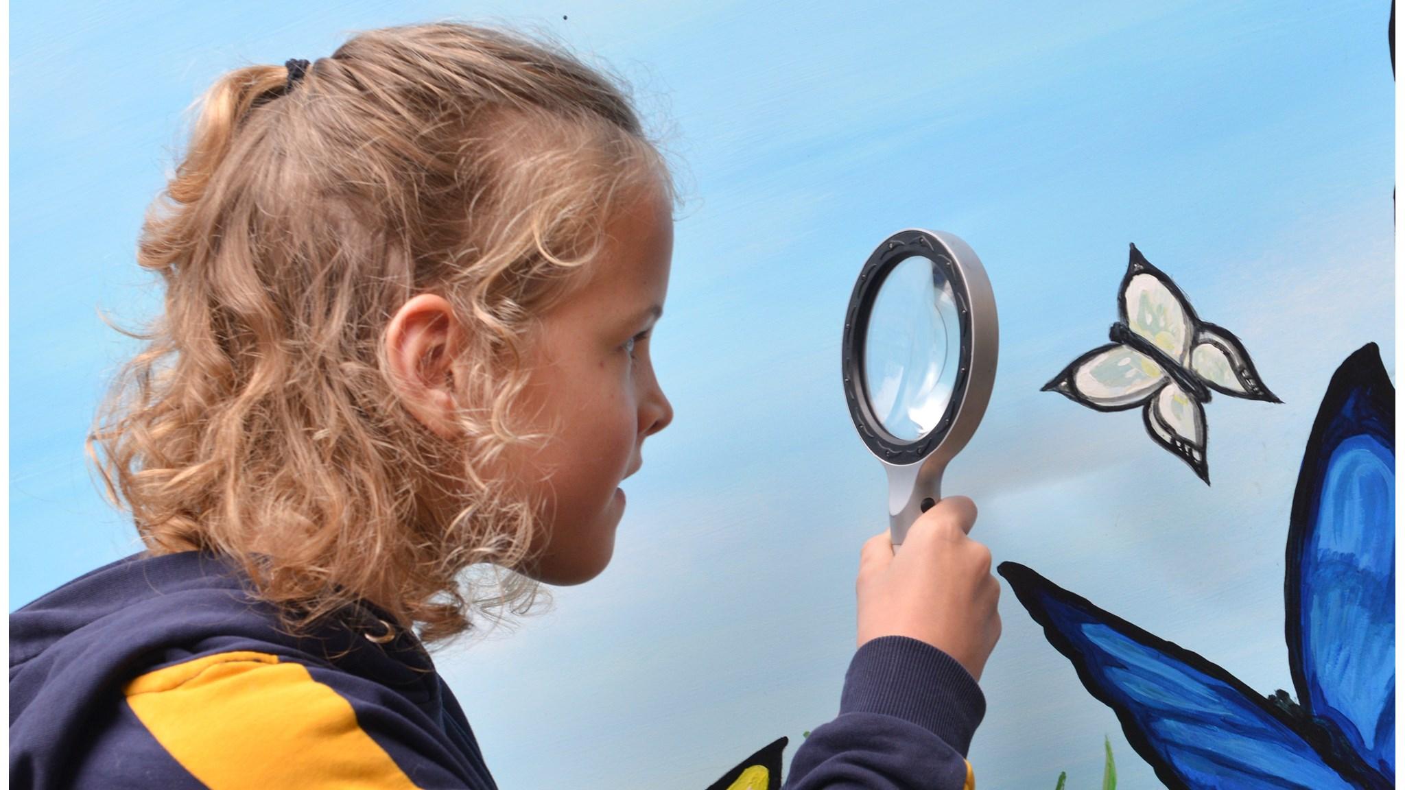 Een kind kijkt met een vergrootglas naar een vlinder op het muurschildering bij de Mariaschool in Reutum. Een kind kijkt met een vergrootglas naar een vlinder op het muurschildering bij de Mariaschool in Reutum.