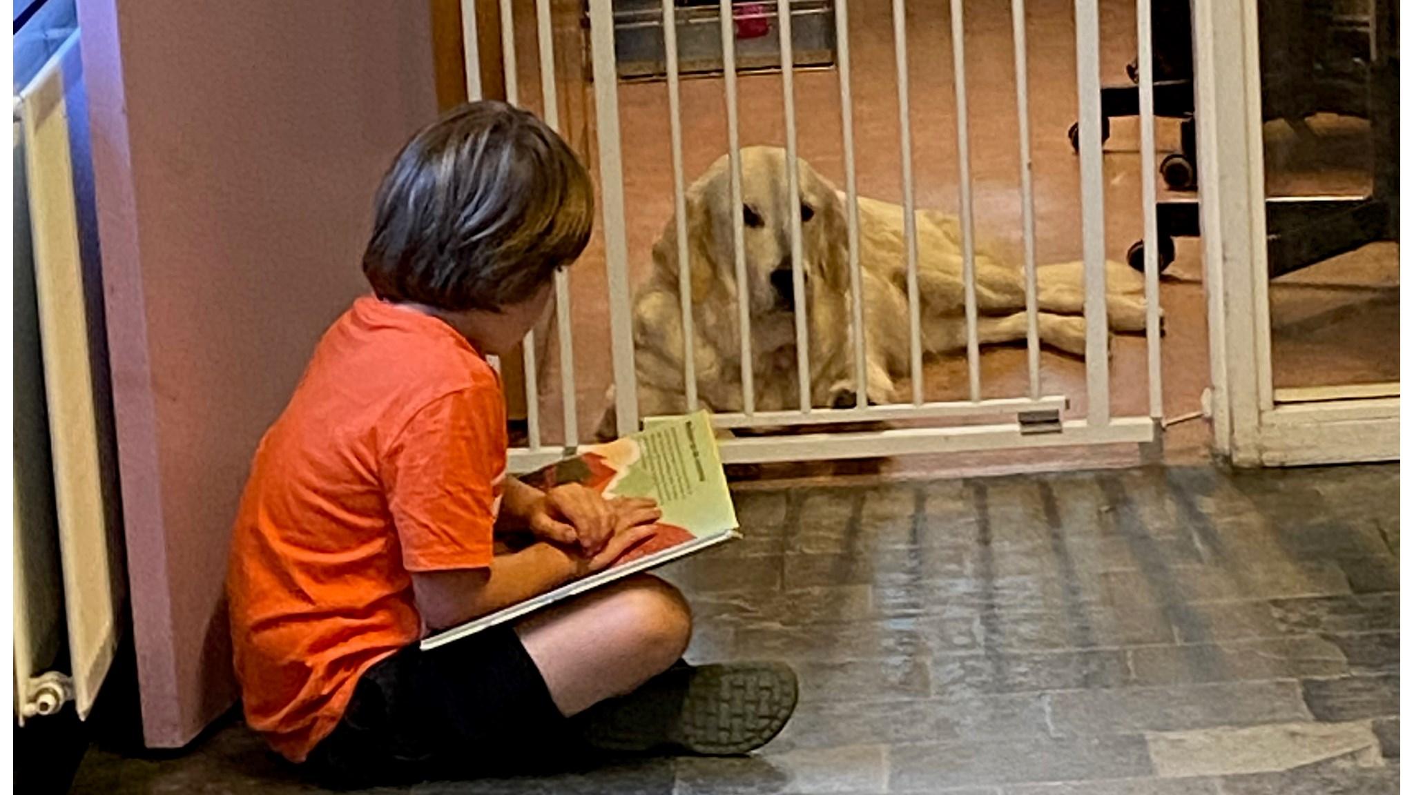 Een kind leest een boek voor aan een hond achter een hek in de John F. Kennedy Montessori basisschool in Den Haag. Een kind leest een boek voor aan een hond achter een hek in de John F. Kennedy Montessori basisschool in Den Haag.