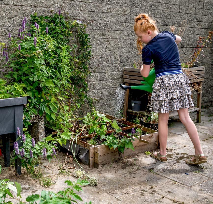 Een meisje is bezig met het water geven van planten op het schoolplein van De Parelburcht in Oost-Souburg.