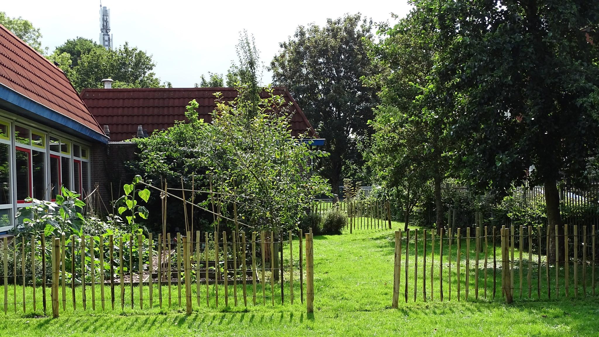 Groen schoolplein van KC De Ruimte in Kudelstaart met bloeiende planten en een natuurlijke omheining. Groen schoolplein van KC De Ruimte in Kudelstaart met bloeiende planten en een natuurlijke omheining.