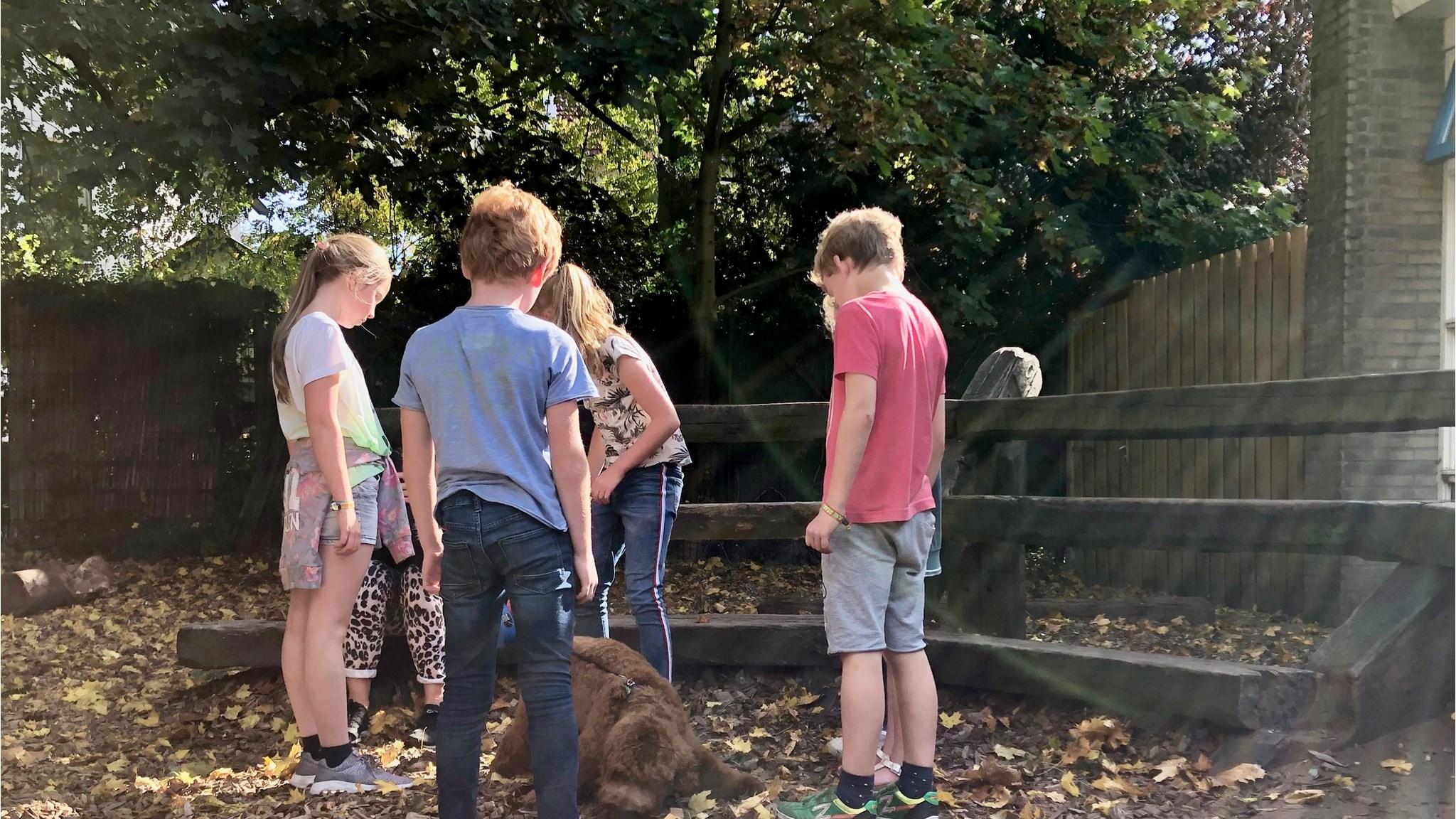 Groep kinderen speelt op het schoolplein van Openbare Jenaplanschool Het Spoor in Zeist. Groep kinderen speelt op het schoolplein van Openbare Jenaplanschool Het Spoor in Zeist.