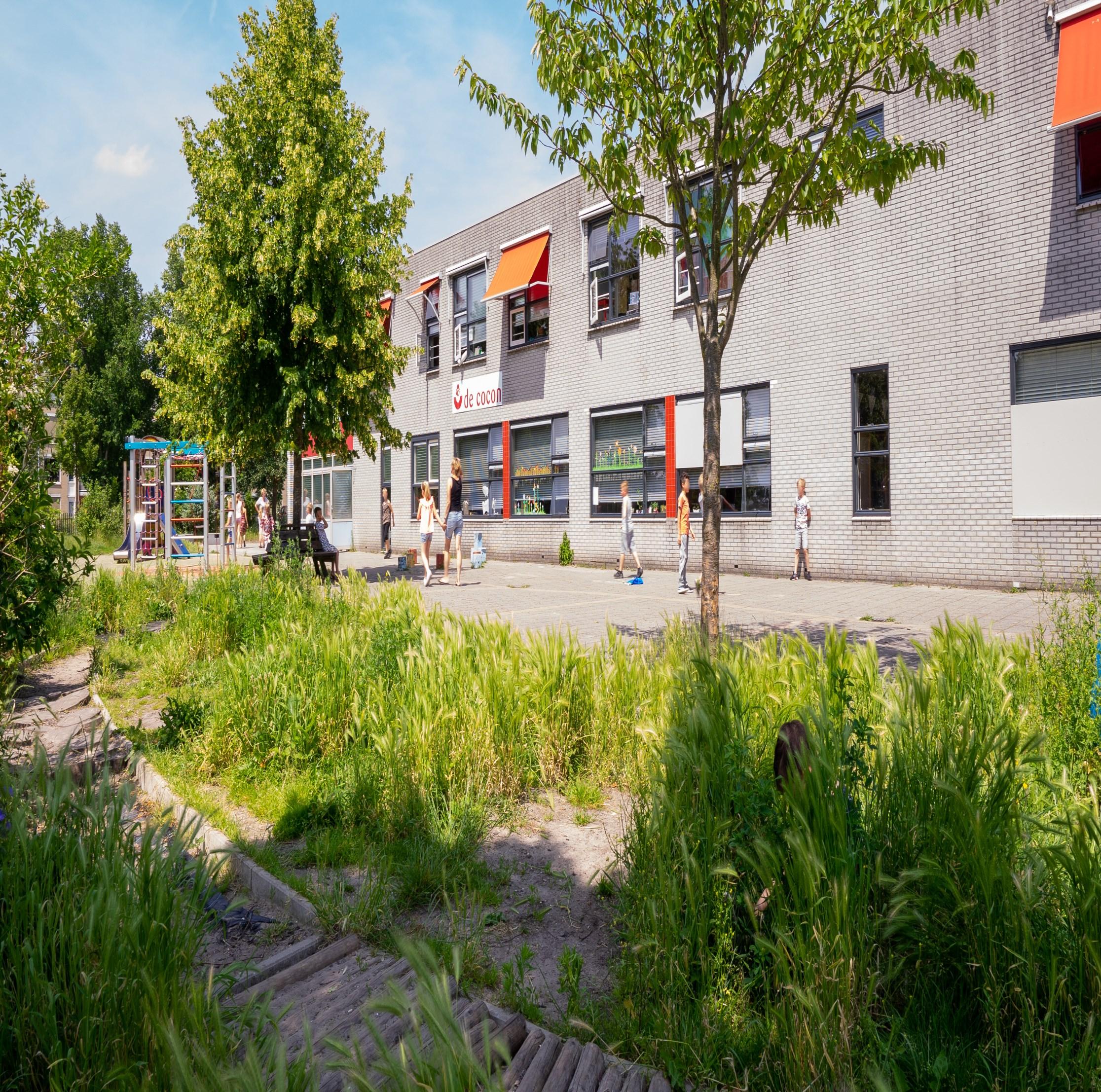 Het schoolplein van Openbare Basisschool de Cocon in Alkmaar met spelende kinderen en een groene omgeving. Het schoolplein van Openbare Basisschool de Cocon in Alkmaar met spelende kinderen en een groene omgeving.