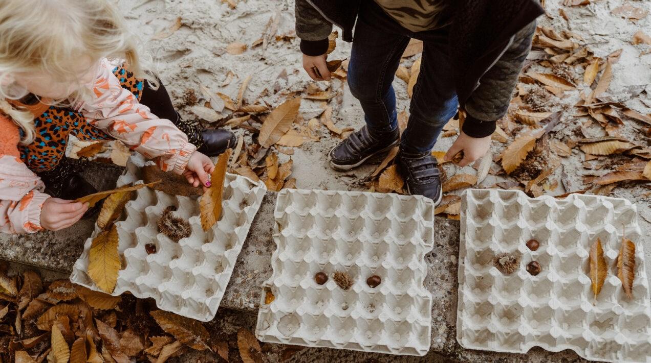 Kindcentrum de Diedeldoorn in Emmen: kinderen spelen met natuurlijke materialen op het schoolplein. Kindcentrum de Diedeldoorn in Emmen: kinderen spelen met natuurlijke materialen op het schoolplein.