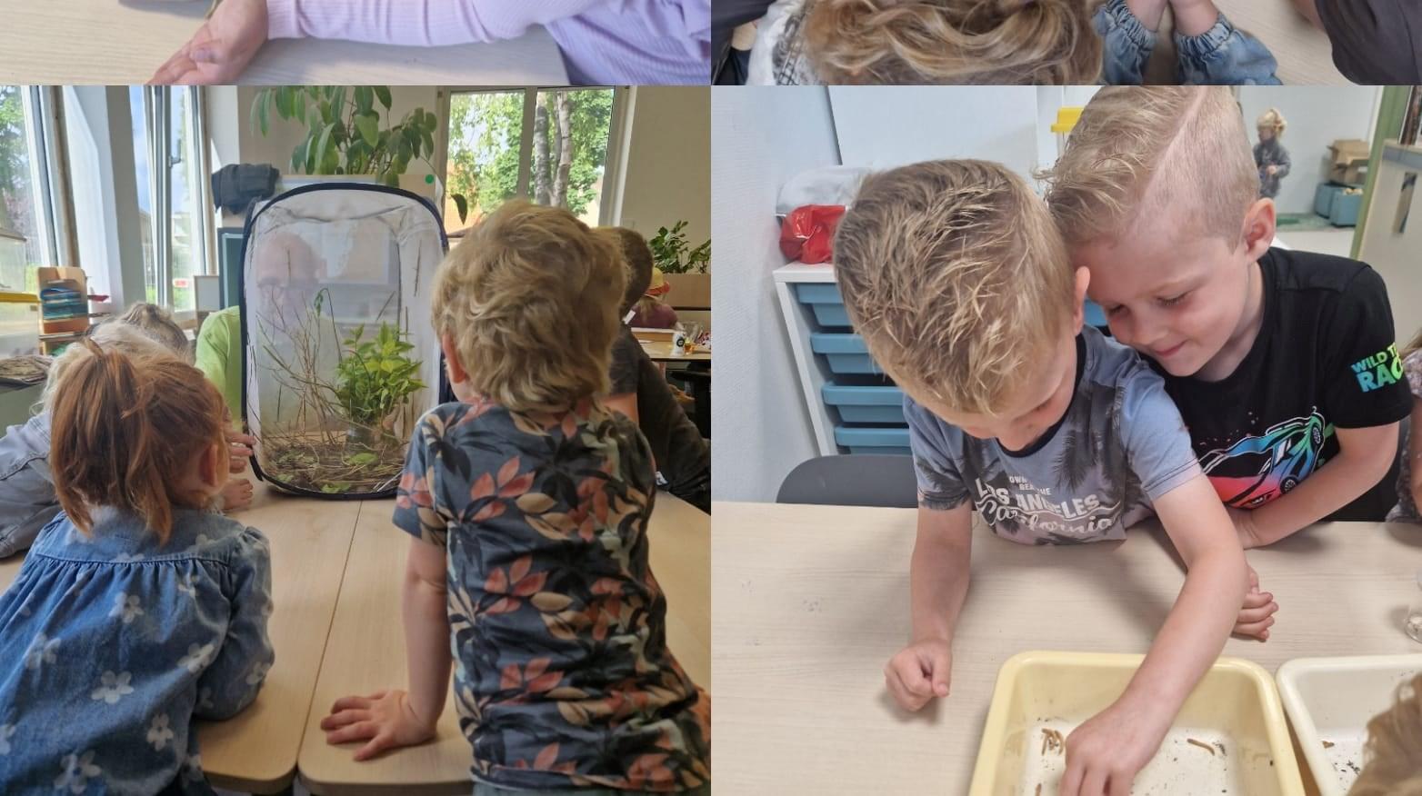 Kindcentrum de Doolgaard in Horst leert kinderen over de natuur door middel van interactieve ervaringen. Kindcentrum de Doolgaard in Horst leert kinderen over de natuur door middel van interactieve ervaringen.