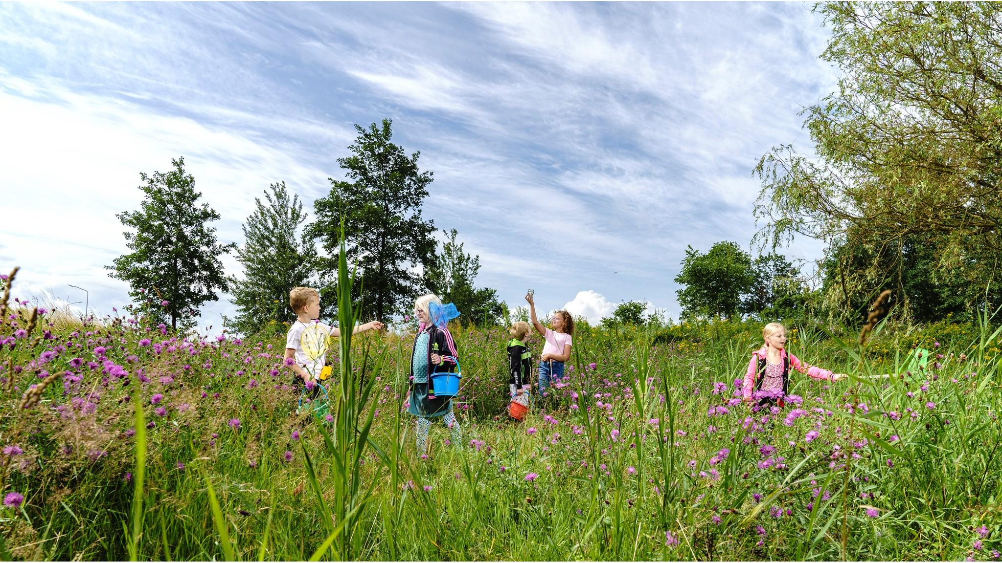 Kindcentrum de Rietpluim in Delfzijl met kinderen die in het bloemenveld spelen. Kindcentrum de Rietpluim in Delfzijl met kinderen die in het bloemenveld spelen.