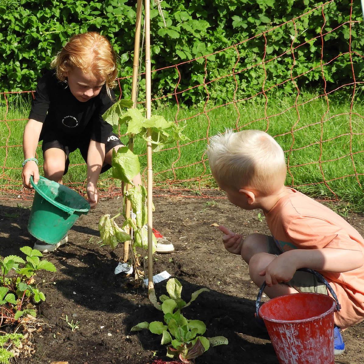Kindcentrum Helmgras in Castricum: Kinderen maken de tuin schoon en verzorgen de planten. Kindcentrum Helmgras in Castricum: Kinderen maken de tuin schoon en verzorgen de planten.
