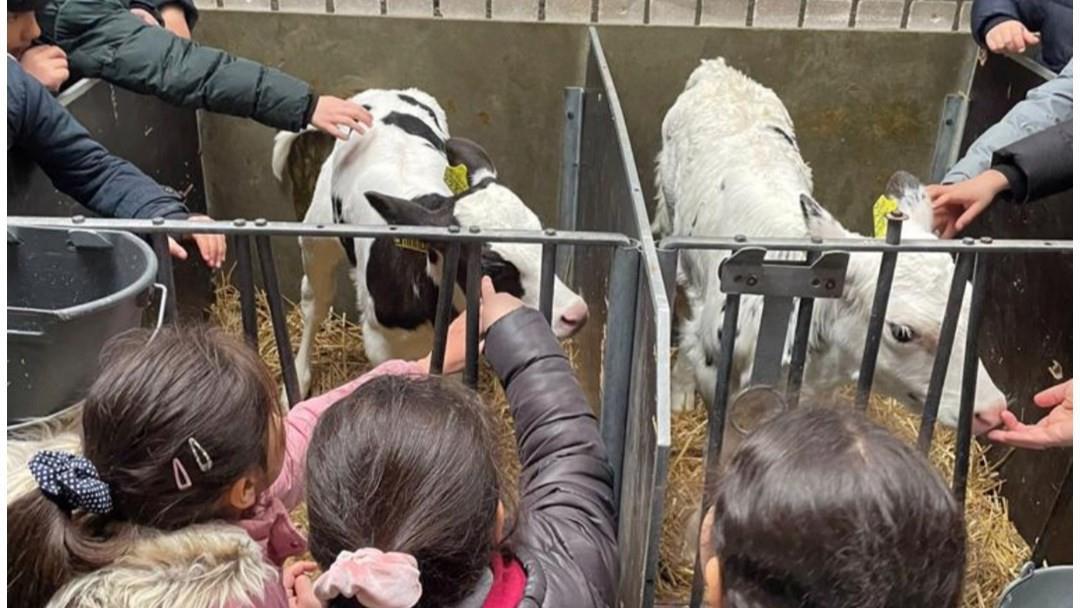 Kindcentrum Westerbreedte in Den Bosch laat kinderen kennismaken met dieren tijdens een educatieve activiteit. Kindcentrum Westerbreedte in Den Bosch laat kinderen kennismaken met dieren tijdens een educatieve activiteit.