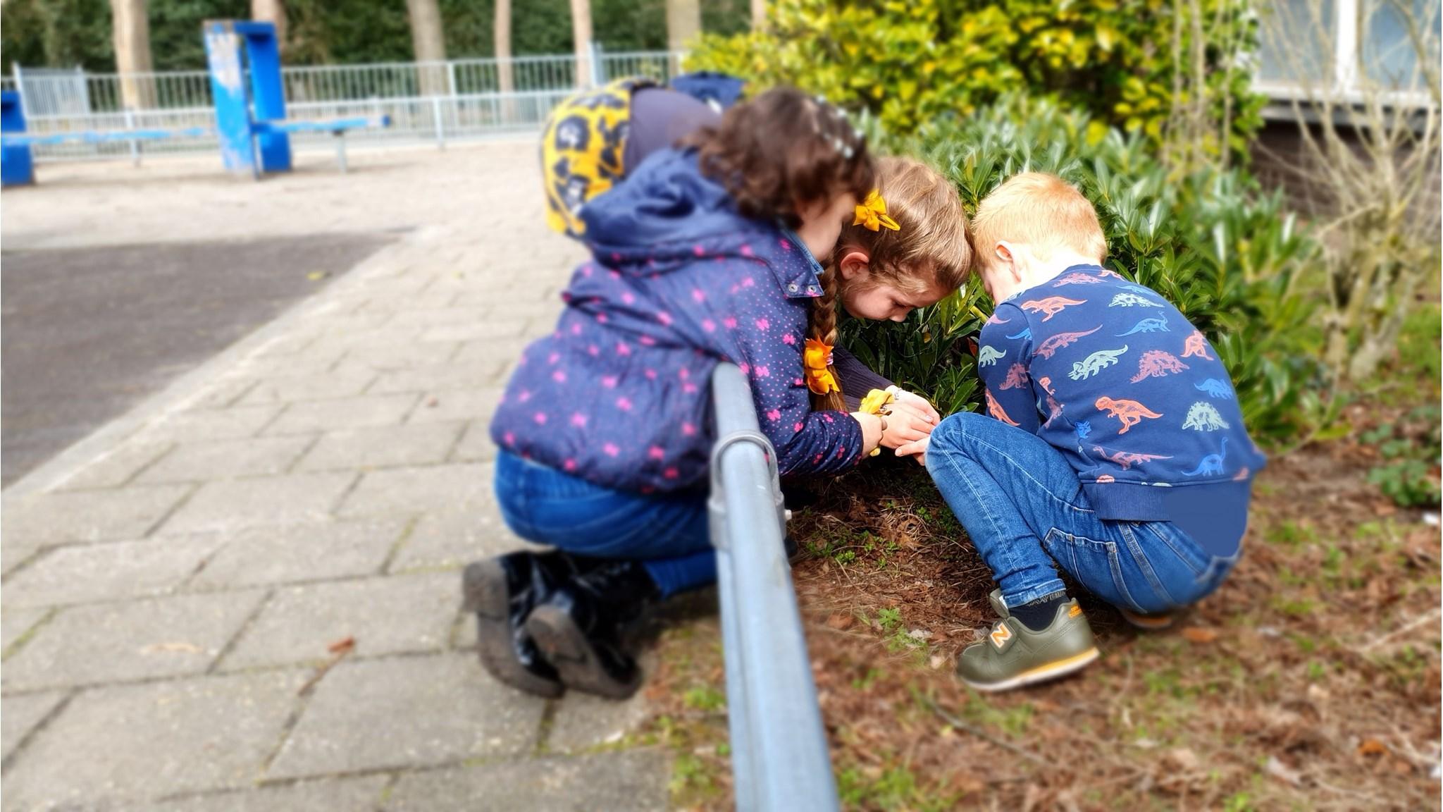 Kinderen aan het verkennen in de tuin van Mariaschool in Langeveen. Kinderen aan het verkennen in de tuin van Mariaschool in Langeveen.