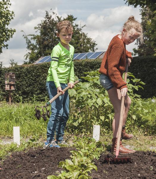 Kinderen aan het werk in de tuin van Openbare Basisschool De Hasselbraam in Haaren. Kinderen aan het werk in de tuin van Openbare Basisschool De Hasselbraam in Haaren.