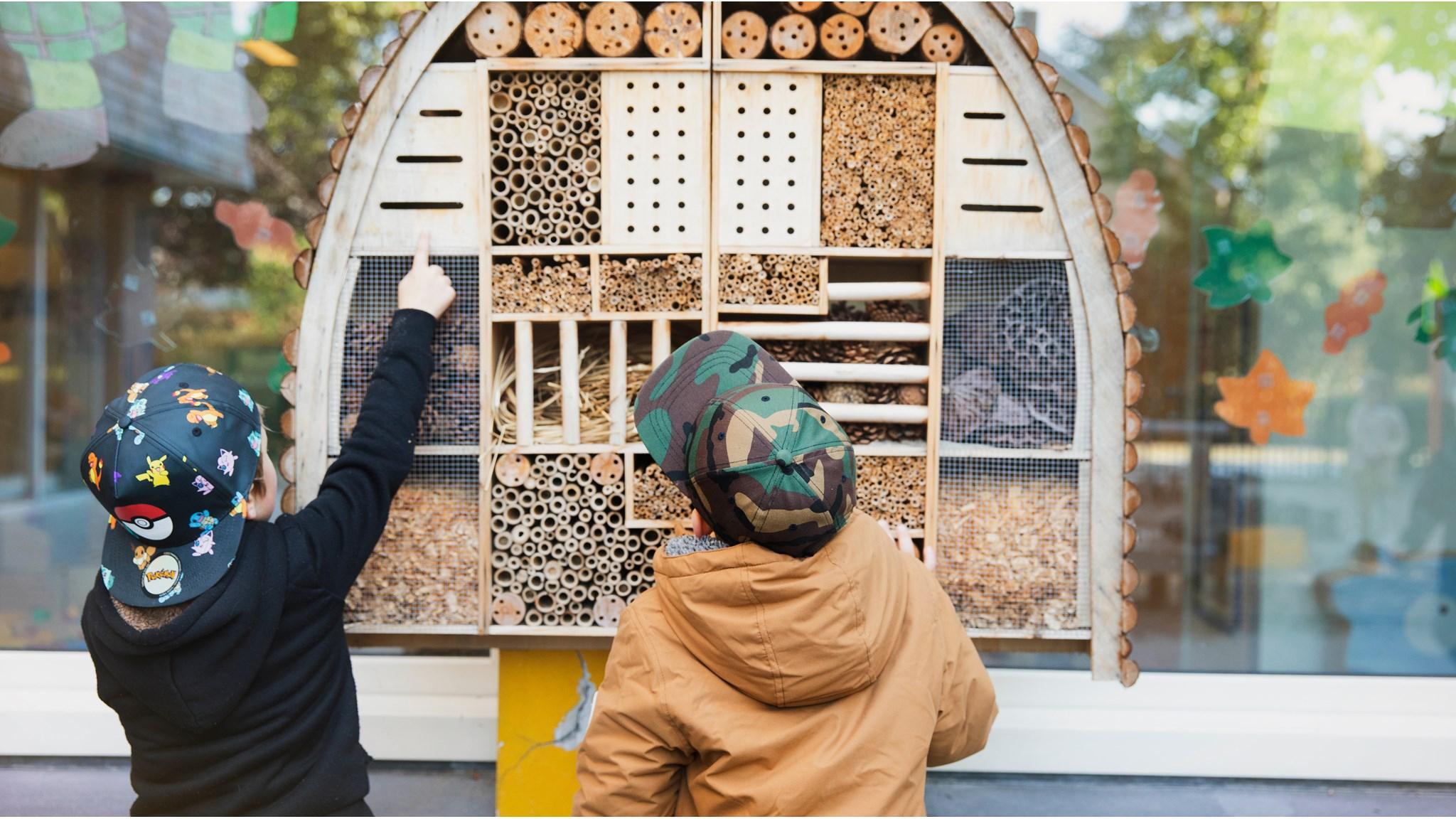 Kinderen ontdekken insectenhotel op het schoolplein van Basisschool de Cantharel in Ermelo. Kinderen ontdekken insectenhotel op het schoolplein van Basisschool de Cantharel in Ermelo.