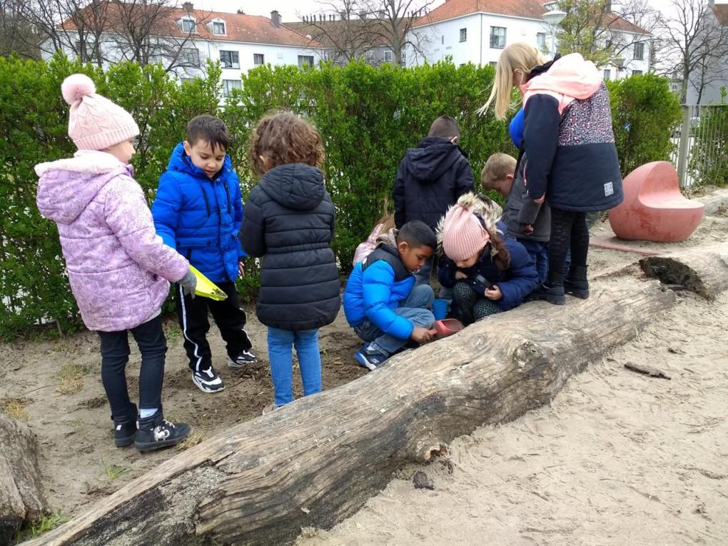 Kinderen spelen en ontdekken op het schoolplein van de Jan Ligthartschool in Den Haag. Kinderen spelen en ontdekken op het schoolplein van de Jan Ligthartschool in Den Haag.