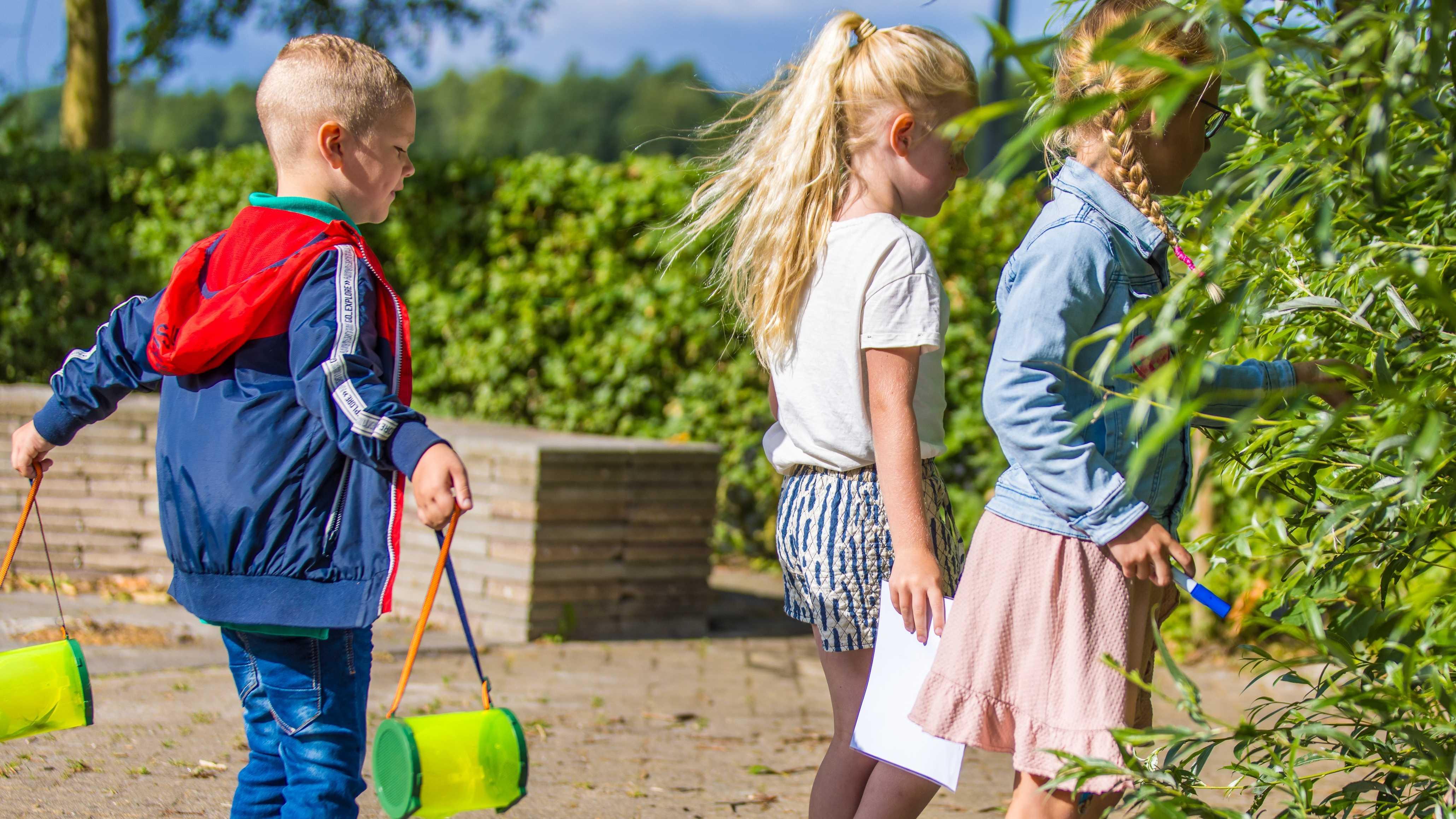 Kinderen spelen en verkennen de natuur op het schoolplein van SWS De Gavelander in Oostwold (Gem. Westerkwartier). Kinderen spelen en verkennen de natuur op het schoolplein van SWS De Gavelander in Oostwold (Gem. Westerkwartier).