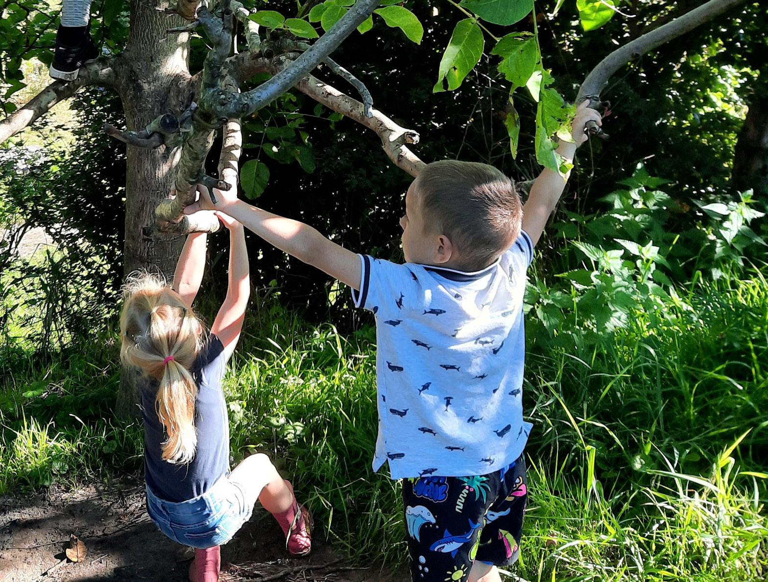 Kinderen spelen in een boom op het schoolplein van de St. Jozefschool in Achterveld (Utrecht). Kinderen spelen in een boom op het schoolplein van de St. Jozefschool in Achterveld (Utrecht).