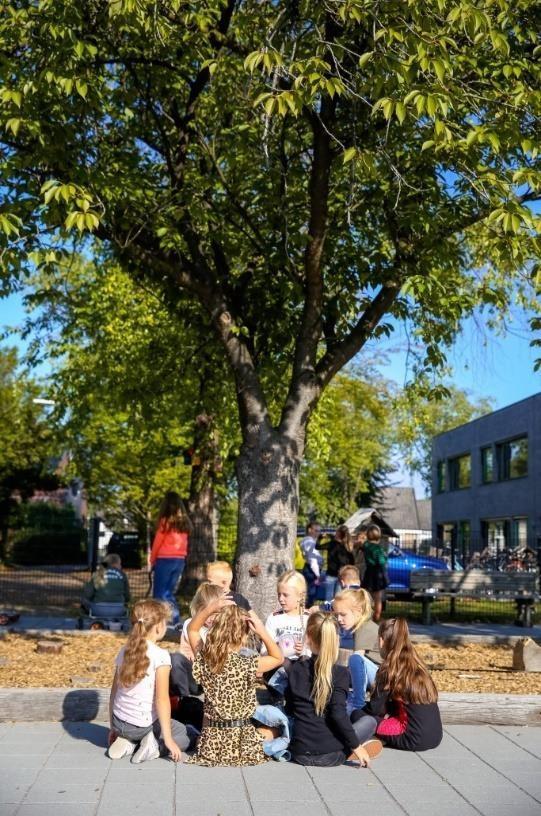 Kinderen spelen in het schoolplein van Basisschool De Boogurt in Budel onder een boom. Kinderen spelen in het schoolplein van Basisschool De Boogurt in Budel onder een boom.