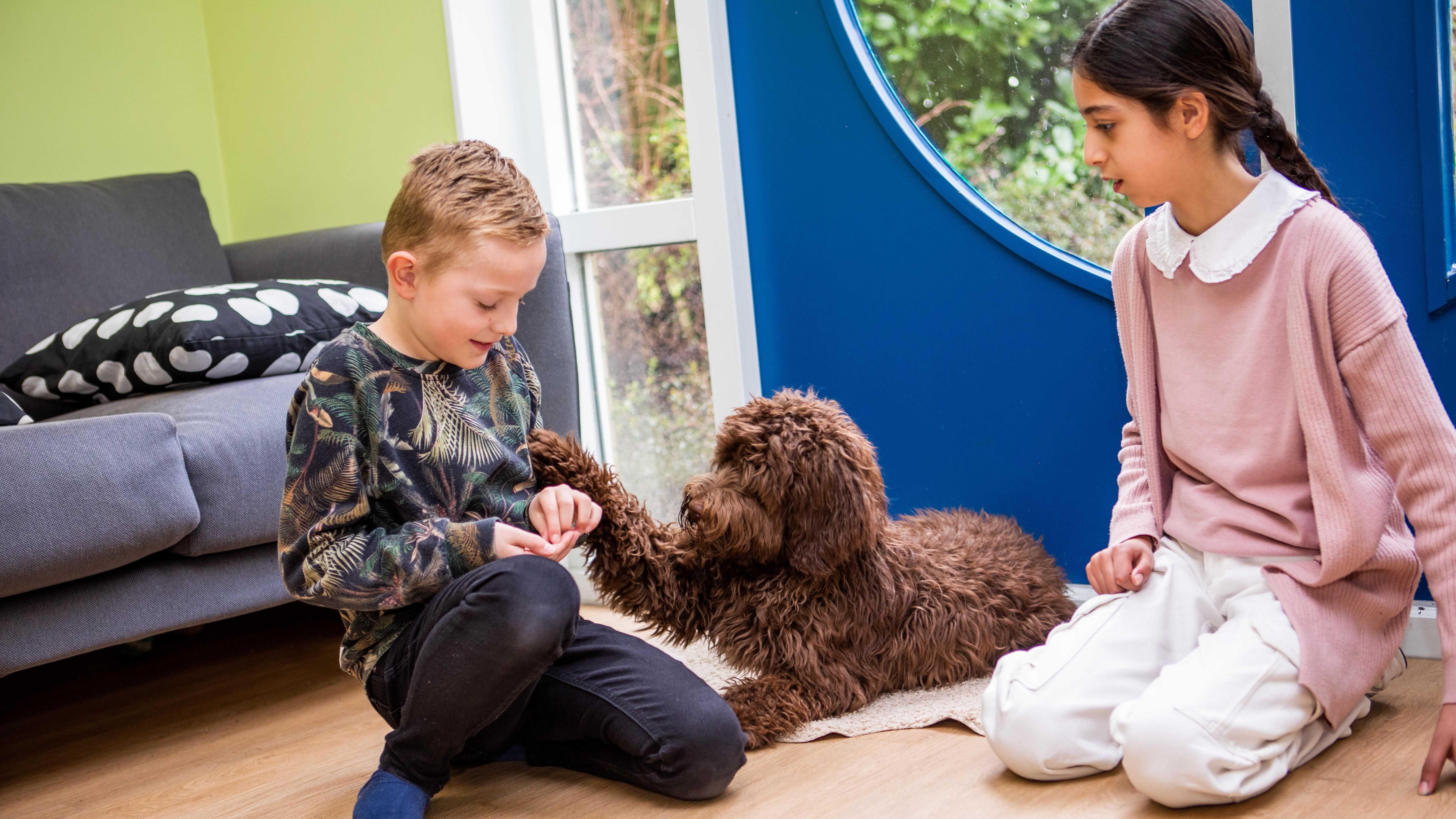 Kinderen spelen met een hond in het Kids College schoolplein in Wilnis. Kinderen spelen met een hond in het Kids College schoolplein in Wilnis.
