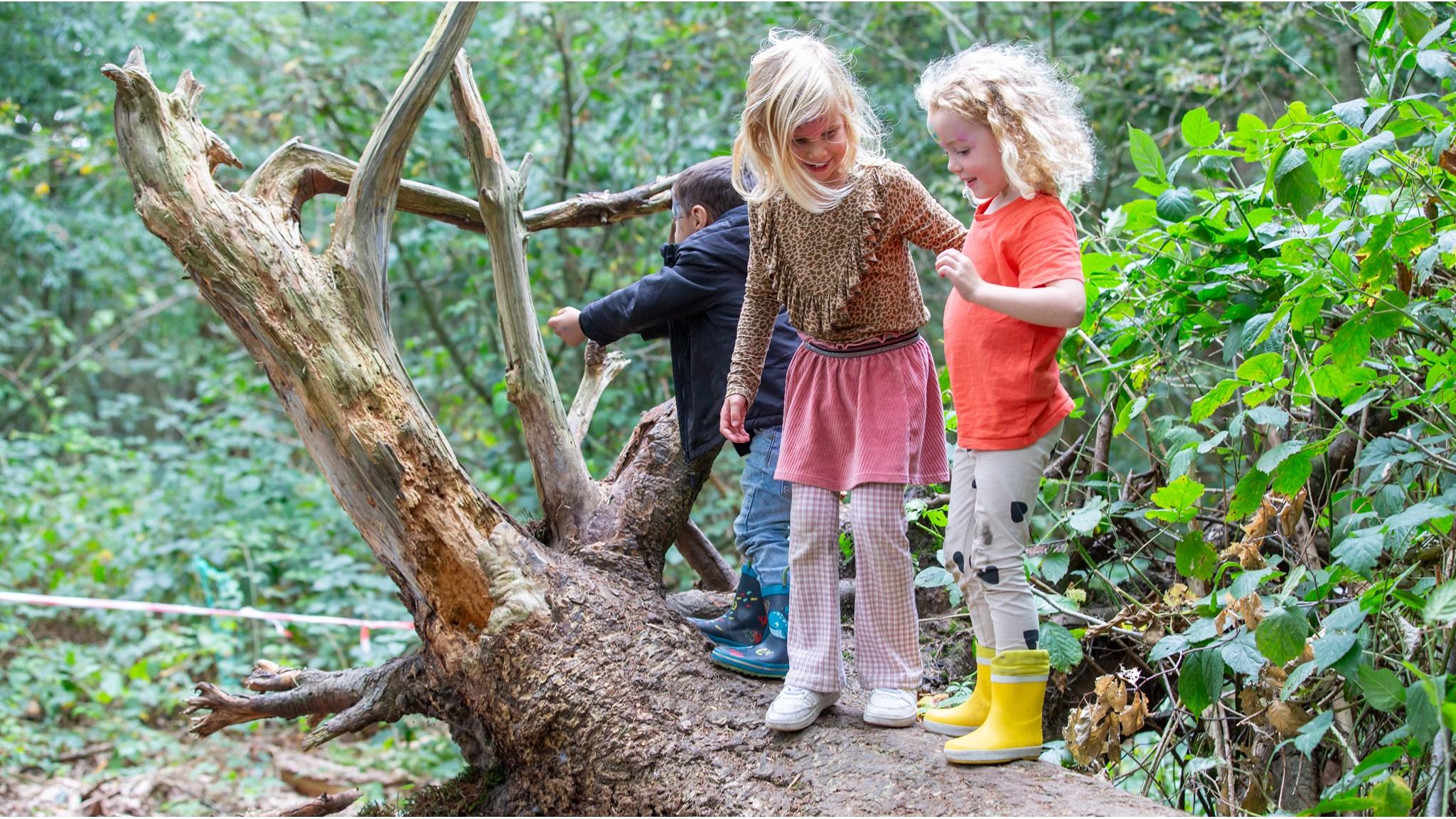 Kinderen spelen op een boomstronk in de natuur bij Jenaplan Kindcentrum Sint Bonifatius in Dokkum. Kinderen spelen op een boomstronk in de natuur bij Jenaplan Kindcentrum Sint Bonifatius in Dokkum.