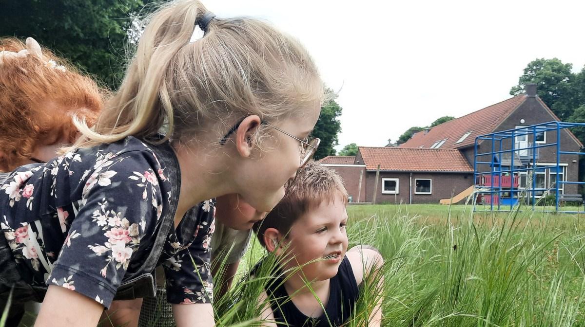 Kinderen van Basisschool De Heihorst in Heibloem spelen en verkennen het schoolplein. Kinderen van Basisschool De Heihorst in Heibloem spelen en verkennen het schoolplein.