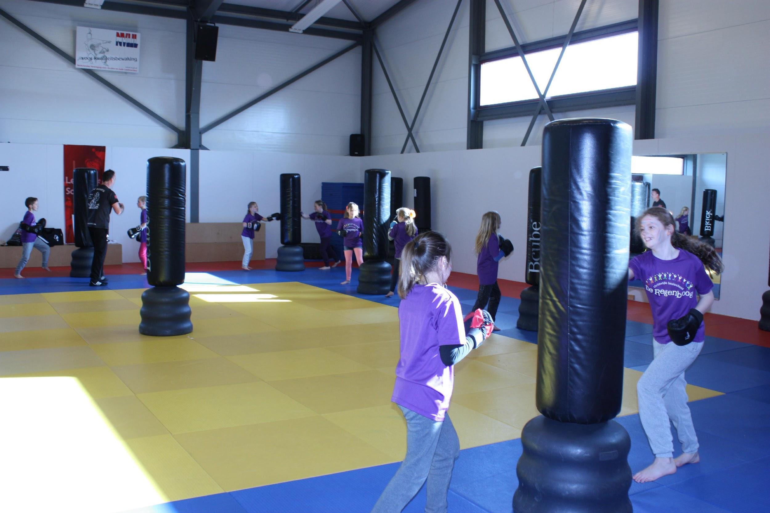 Kinderen van Basisschool De Wegwijzer in Wijk bij Duurstede zijn bezig met een bokstraining in de gymzaal. Kinderen van Basisschool De Wegwijzer in Wijk bij Duurstede zijn bezig met een bokstraining in de gymzaal.