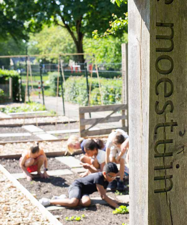 Kinderen van basisschool Het Mozaïek in Houten werken in de moestuin op het schoolplein. Kinderen van basisschool Het Mozaïek in Houten werken in de moestuin op het schoolplein.
