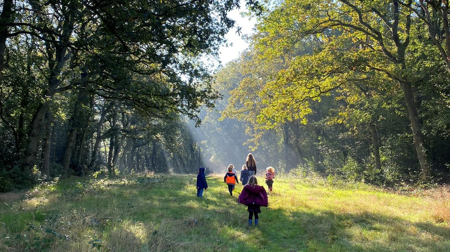Kinderen van Basisschool 't Holtpad uit Nijeholtpade wandelen door een bosrijke omgeving. Kinderen van Basisschool 't Holtpad uit Nijeholtpade wandelen door een bosrijke omgeving.