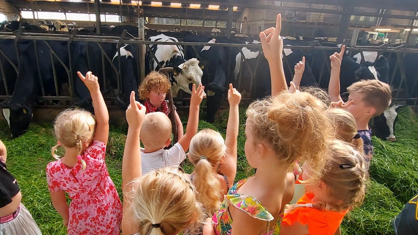 Kinderen van CBS de Verbinding in Musselkanaal stellen vragen tijdens een bezoek aan een boerderij. Kinderen van CBS de Verbinding in Musselkanaal stellen vragen tijdens een bezoek aan een boerderij.