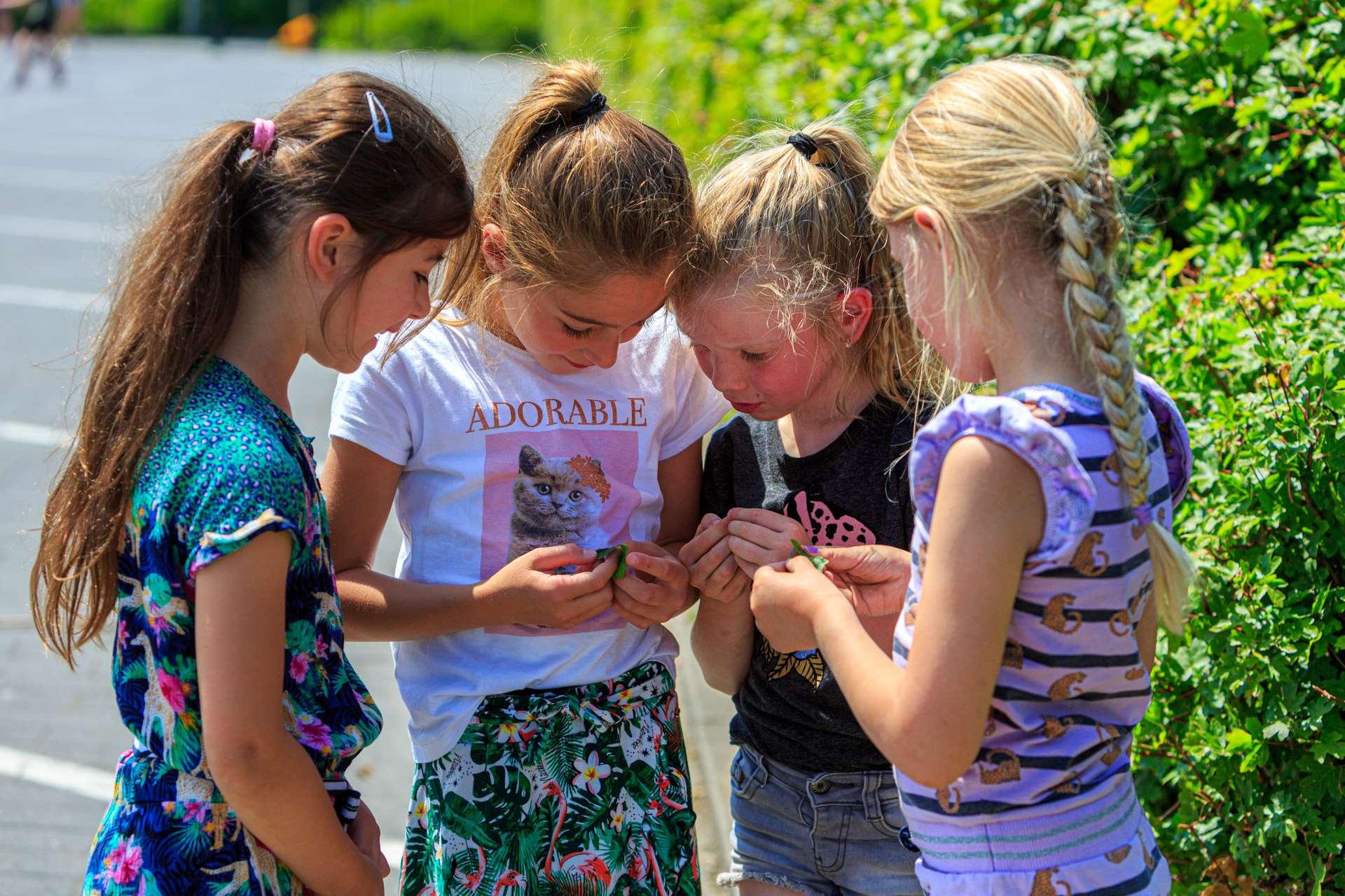 Kinderen van de Antoniusschool in Kudelstaart ontdekken iets samen op het schoolplein. Kinderen van de Antoniusschool in Kudelstaart ontdekken iets samen op het schoolplein.