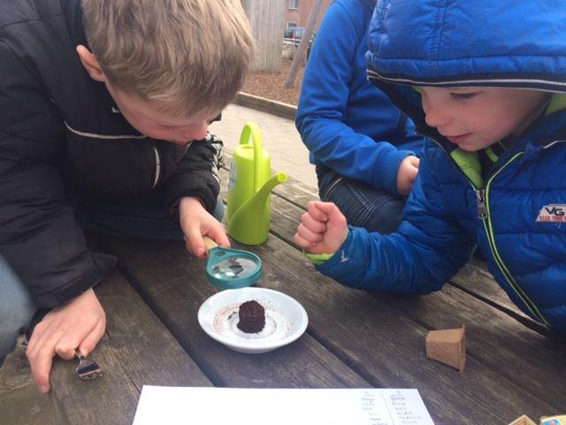 Kinderen van de Dorpsschool Halle observeren met een vergrootglas op het schoolplein. Kinderen van de Dorpsschool Halle observeren met een vergrootglas op het schoolplein.