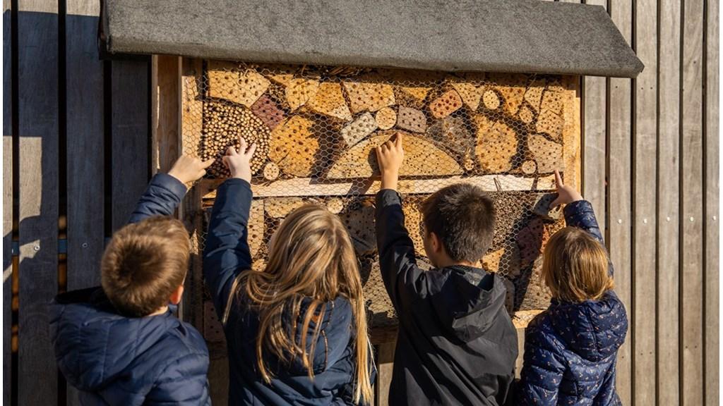 Kinderen van de Katholieke Basisschool de Laarhorst in Arnhem ontdekken de insectenhotel op het schoolplein. Kinderen van de Katholieke Basisschool de Laarhorst in Arnhem ontdekken de insectenhotel op het schoolplein.