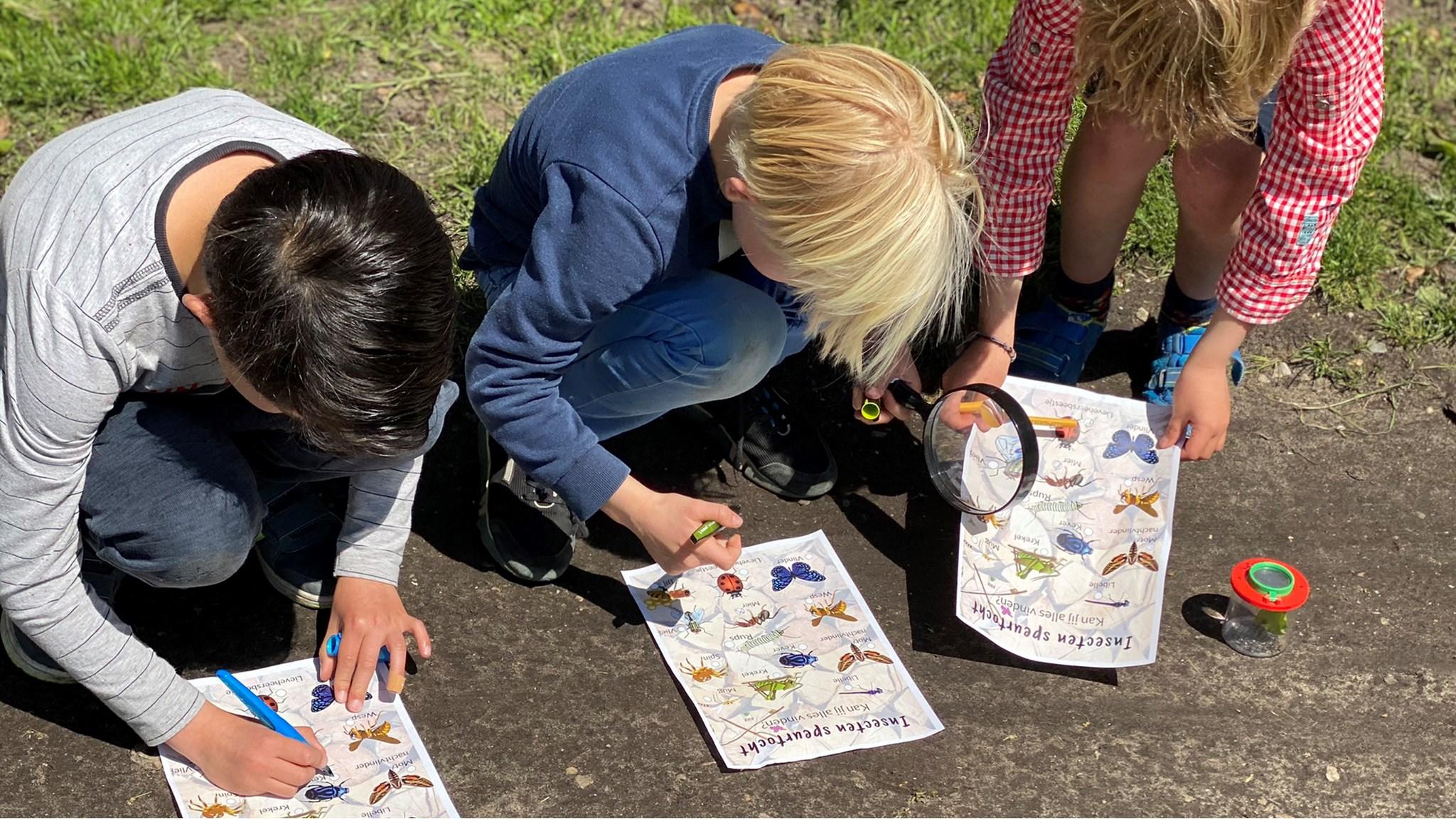 Kinderen van de Lidwinaschool in Amsterdam leren over insecten op het schoolplein. Kinderen van de Lidwinaschool in Amsterdam leren over insecten op het schoolplein.