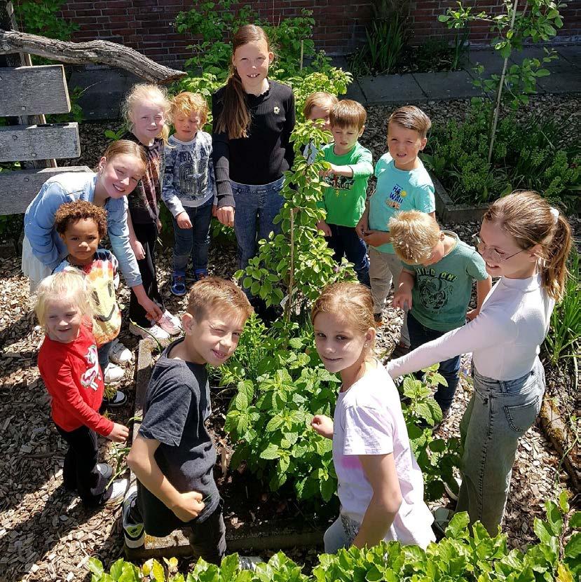 Kinderen van de Palmenhof in Middelburg werken samen in de tuin op het schoolplein. Kinderen van de Palmenhof in Middelburg werken samen in de tuin op het schoolplein.