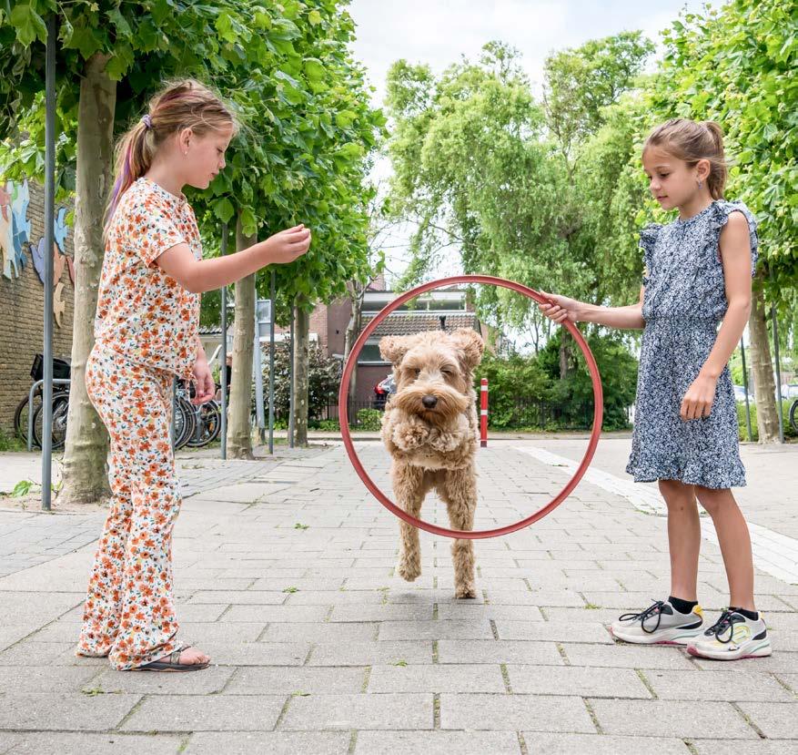 Kinderen van De Parelburcht in Oost-Souburg spelen met een hond op het schoolplein.